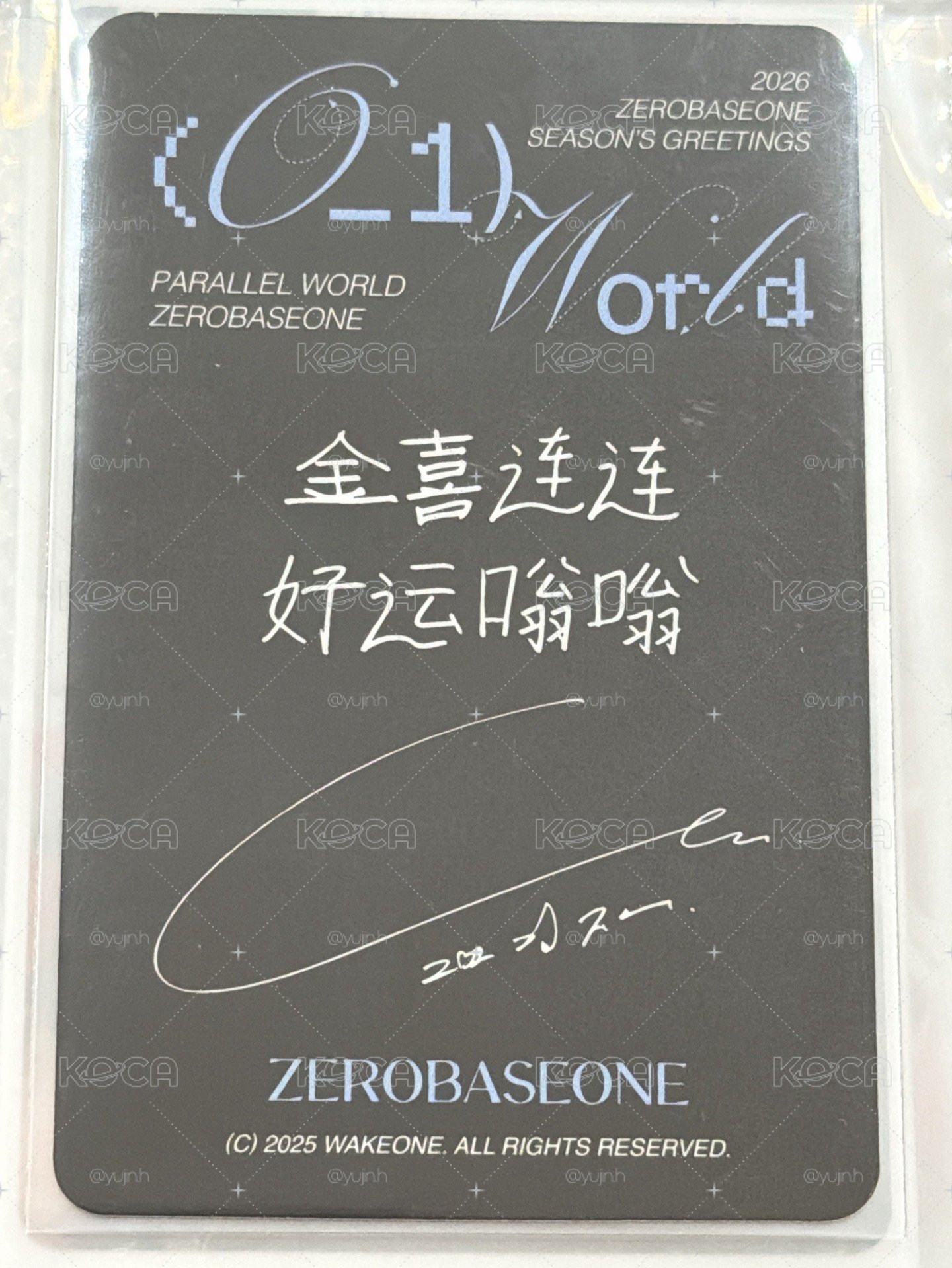金地雄 sr年曆特典 中文卡背