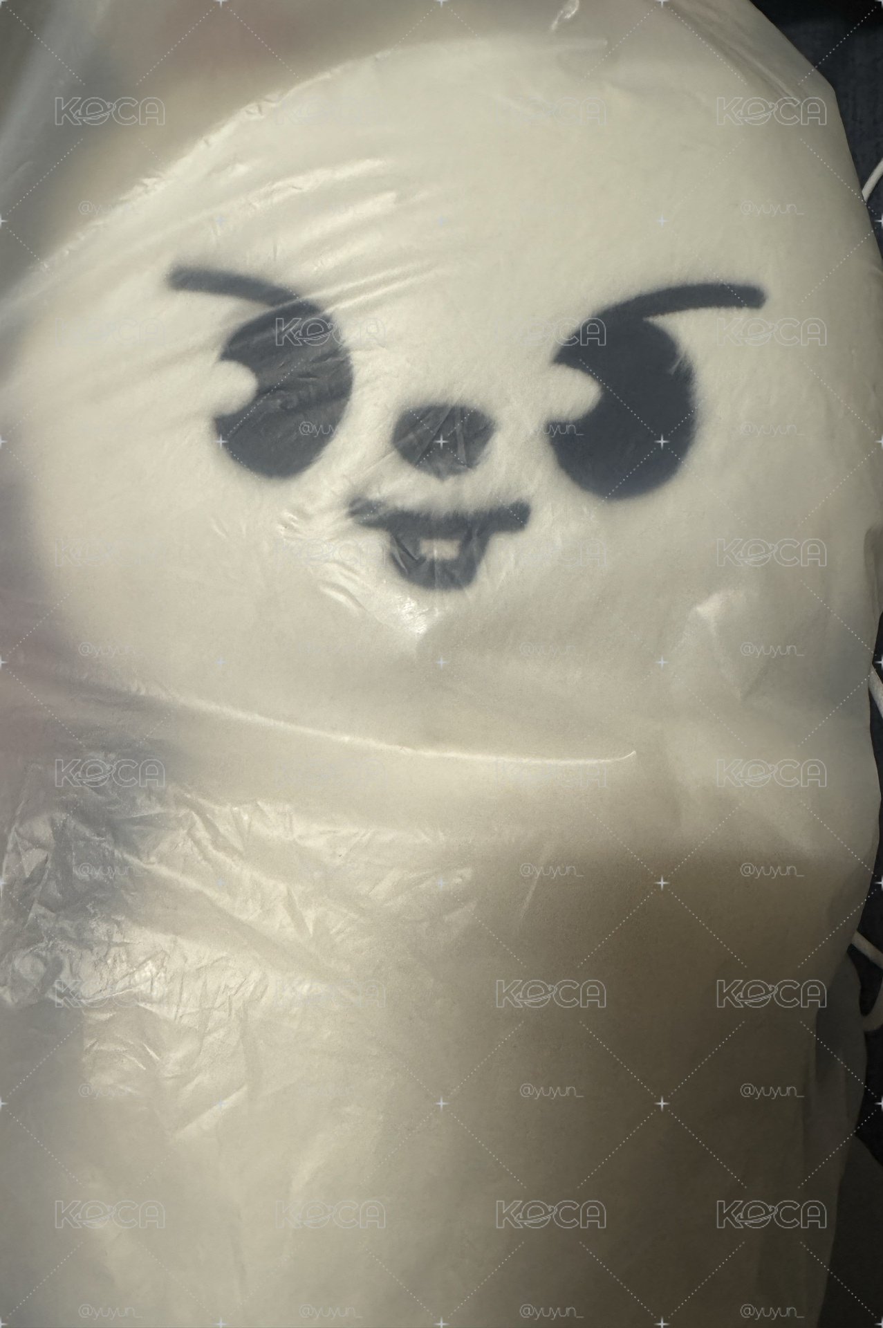 李畢側背娃