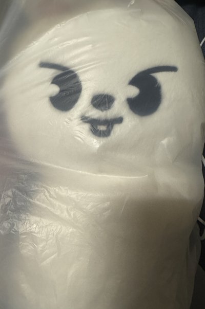 李畢側背娃