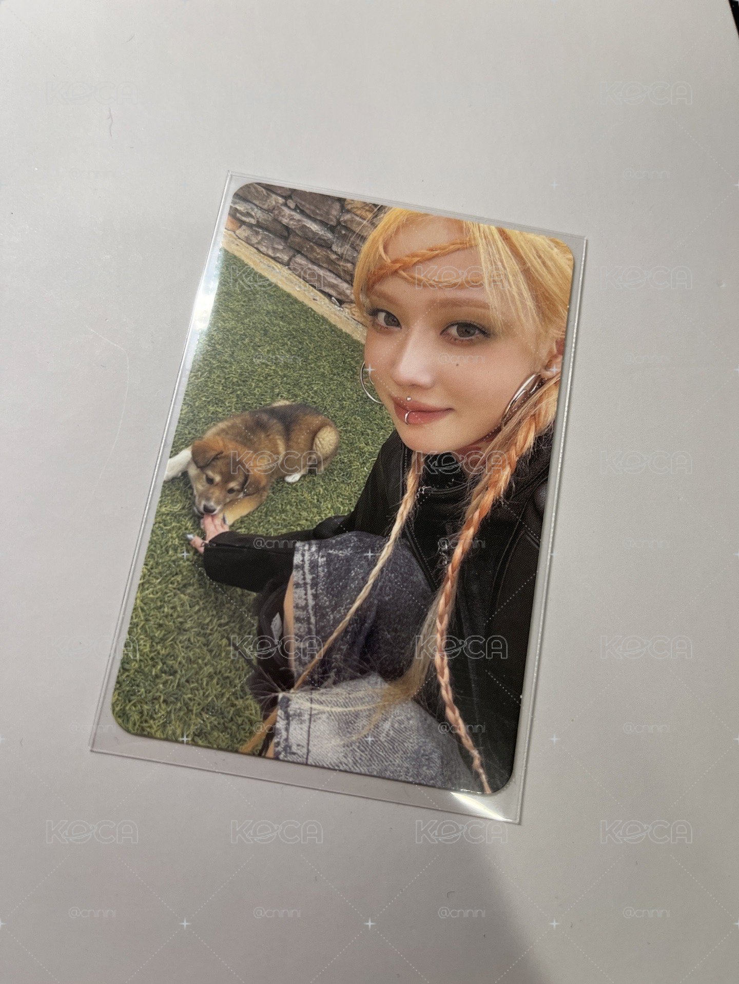 狗狗冬🐕