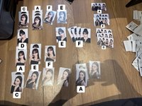 冬 - 版本F