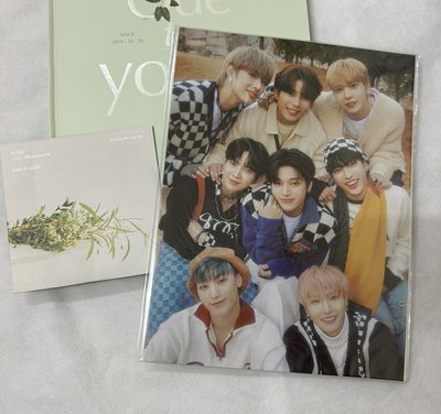 ATEEZ Ode to Youth & FEVER : DEAR DIARY 寫真集