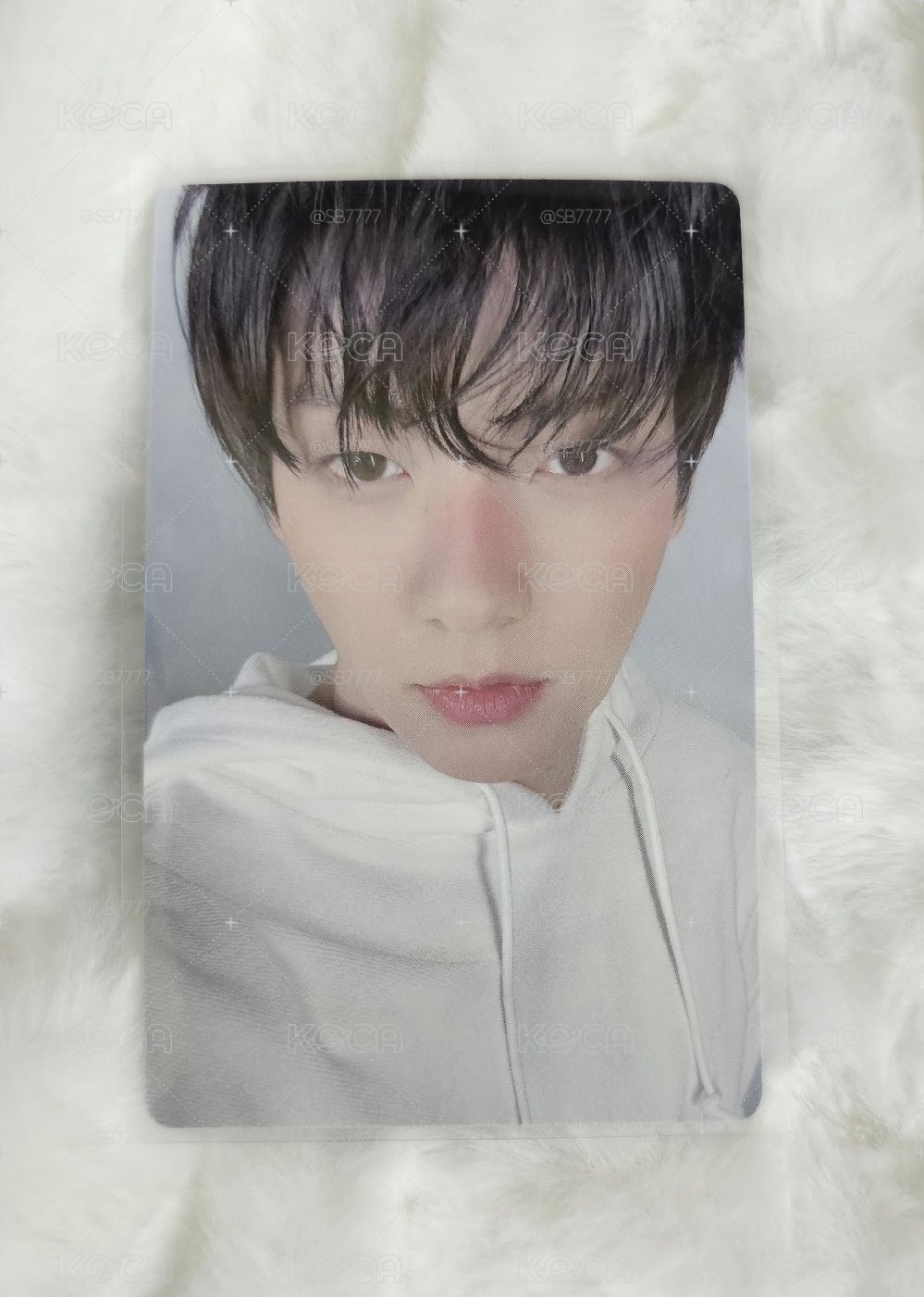 TXT害羞小狗彬