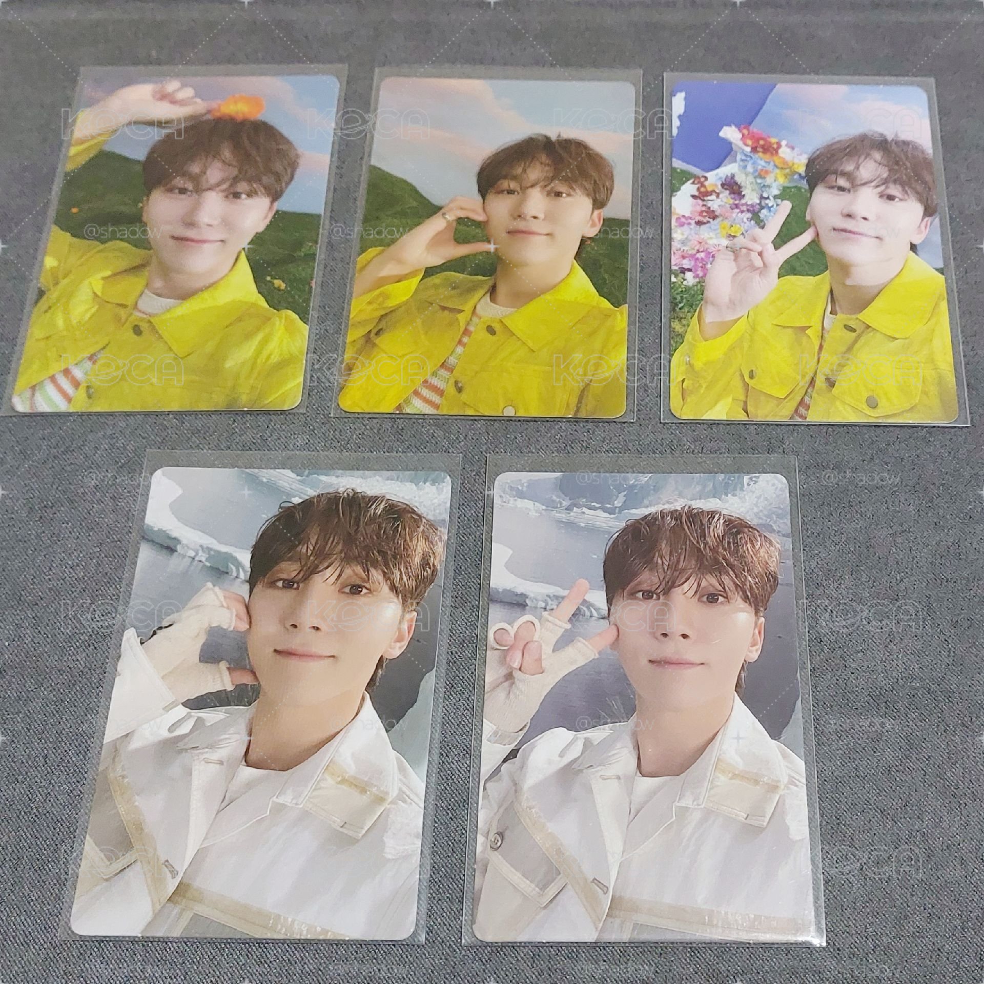 勝寛🍊 SEUNGKWAN 正四後續 SECTOR 17 專卡