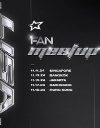 LISA FAN meetup