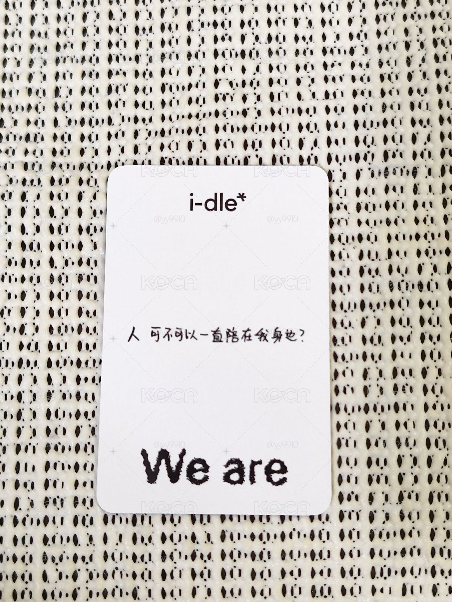 We are k4 預售 琦 特典卡 A ver 貓掌 中背