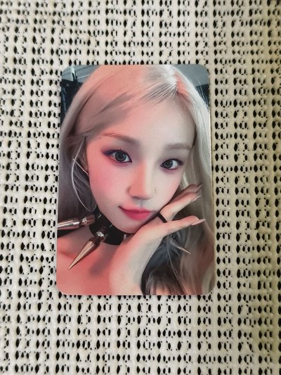 YUQ1 仙女樹 1.0  中背 琦 特典卡 
