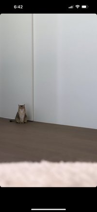 nnnn