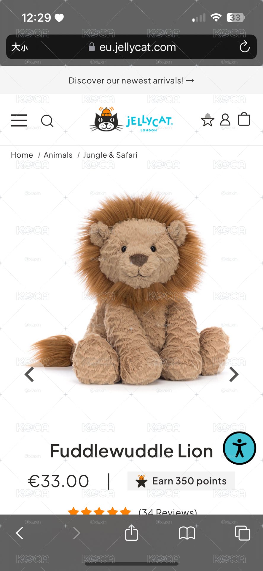 🤍預購 獅子