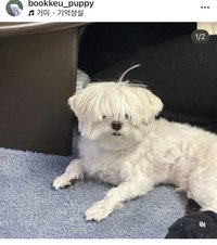 包