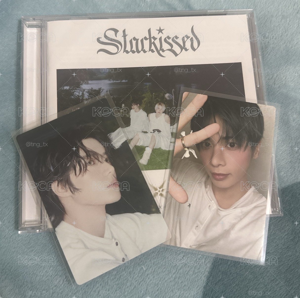 starkissed 通常盤 小卡圭顯