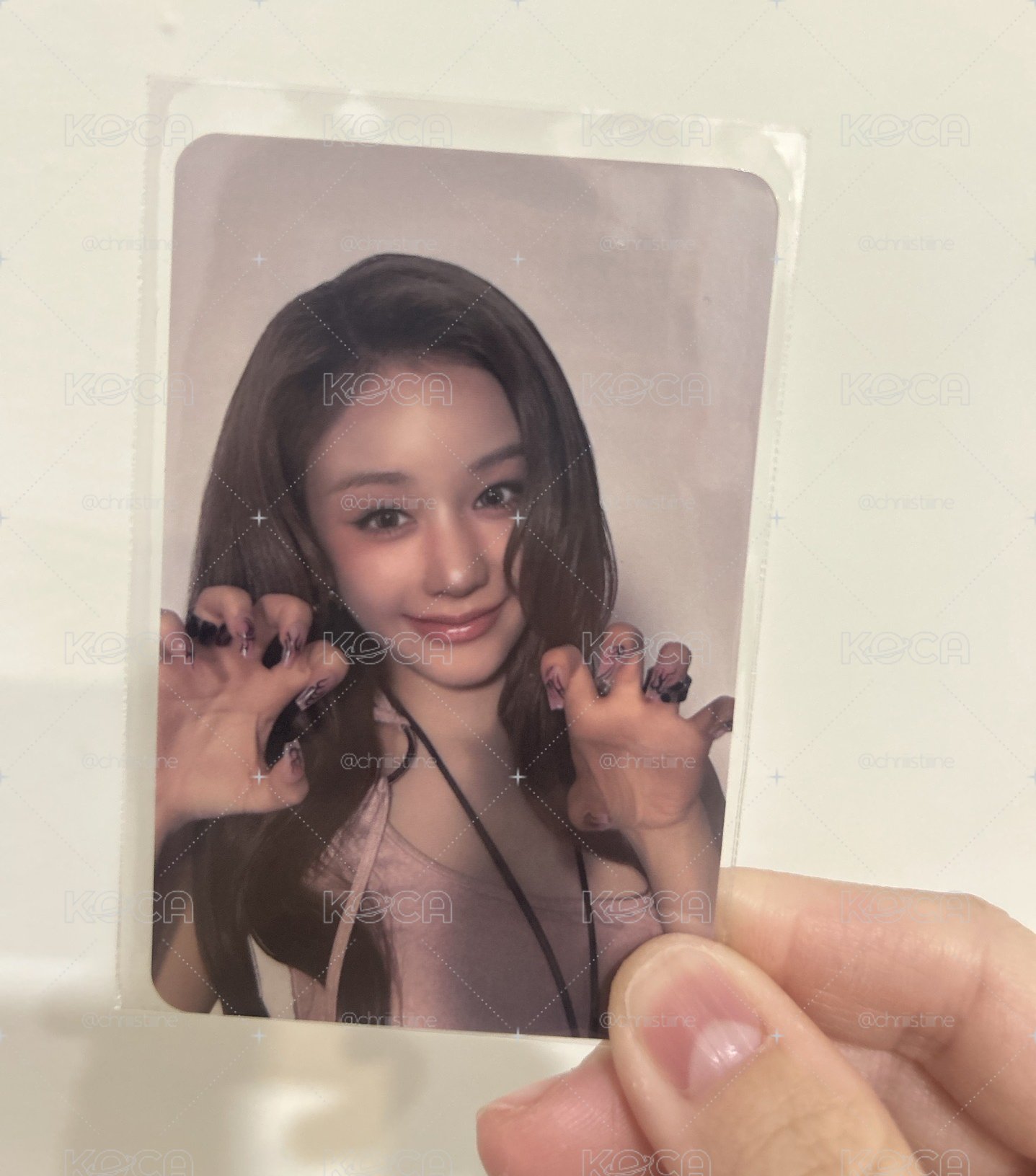莉莉小卡 