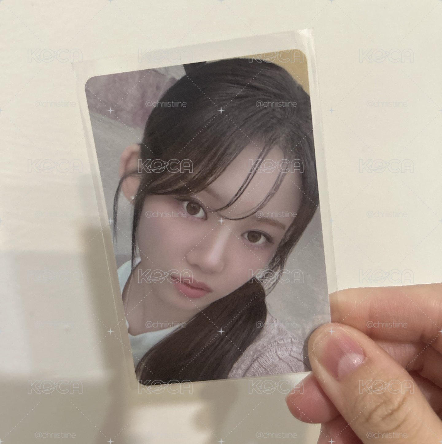 一週年寫真書 茶