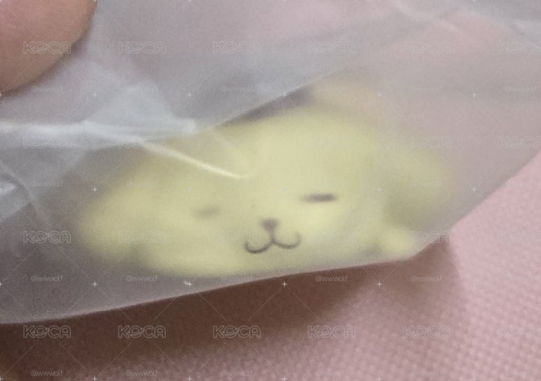 趴睡 扭蛋 布丁狗