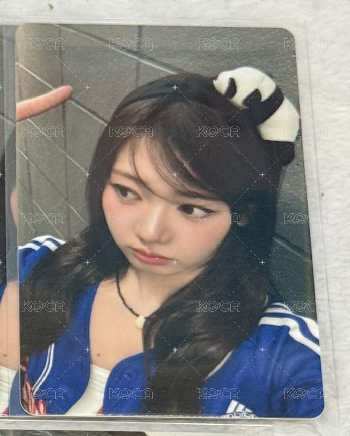 茶
