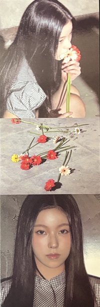 正規一 Valentine ver. 貼紙 
