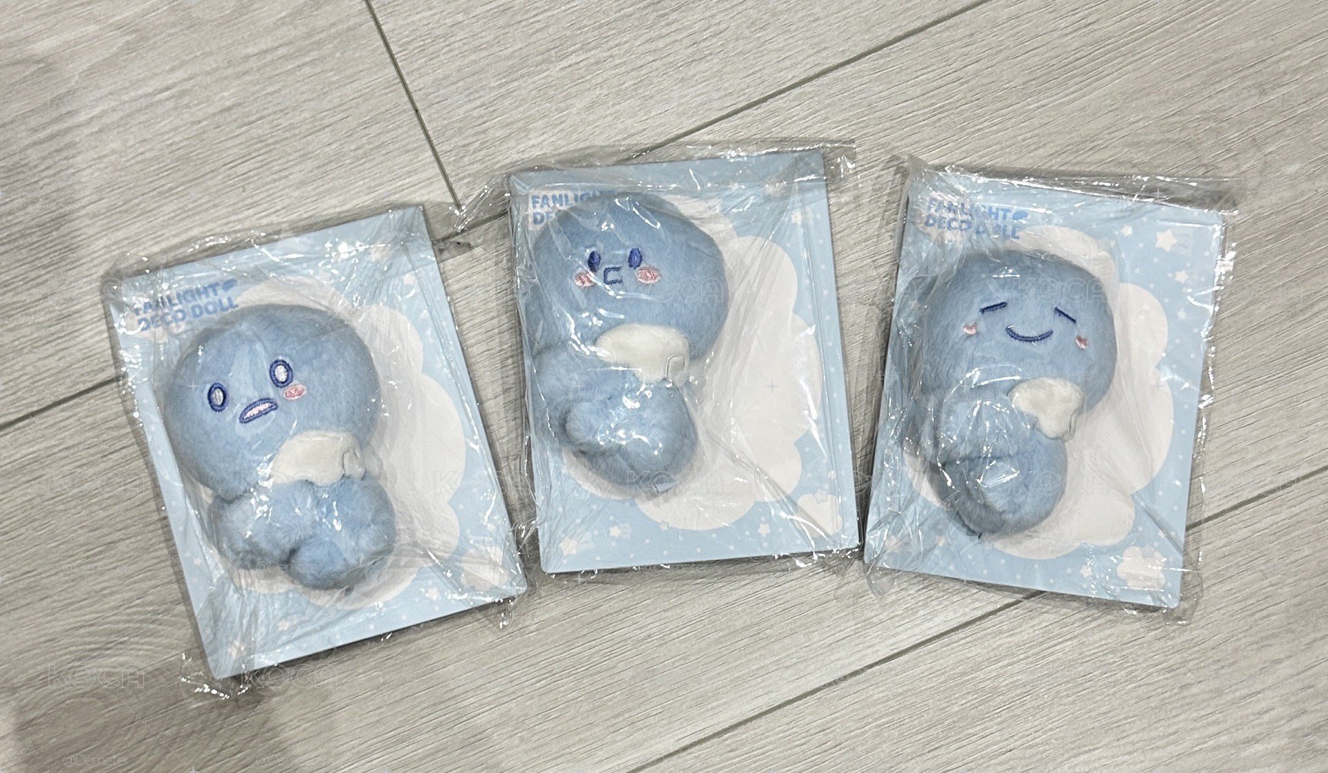 SS10 Encore 手燈套