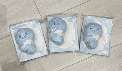 SS10 Encore 手燈套