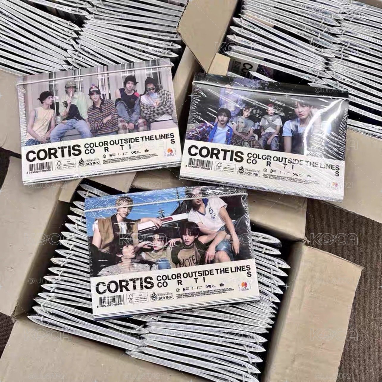 cortis 安乾鎬 全專