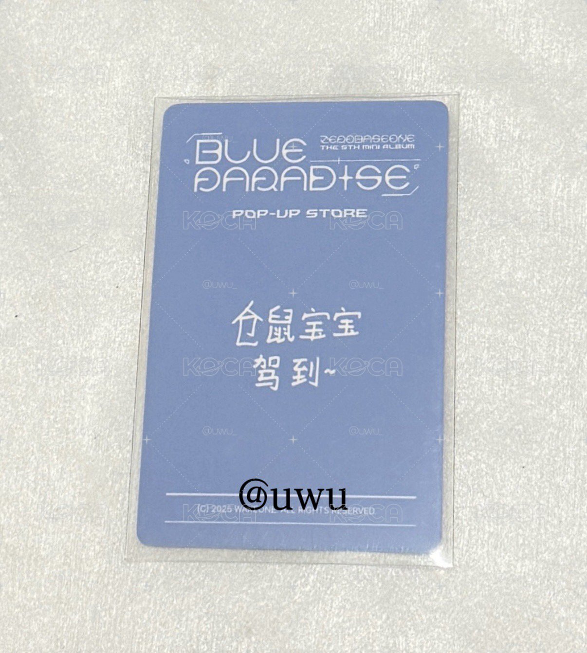 ZB1 迷五yzy快閃 上海LD 成韓彬