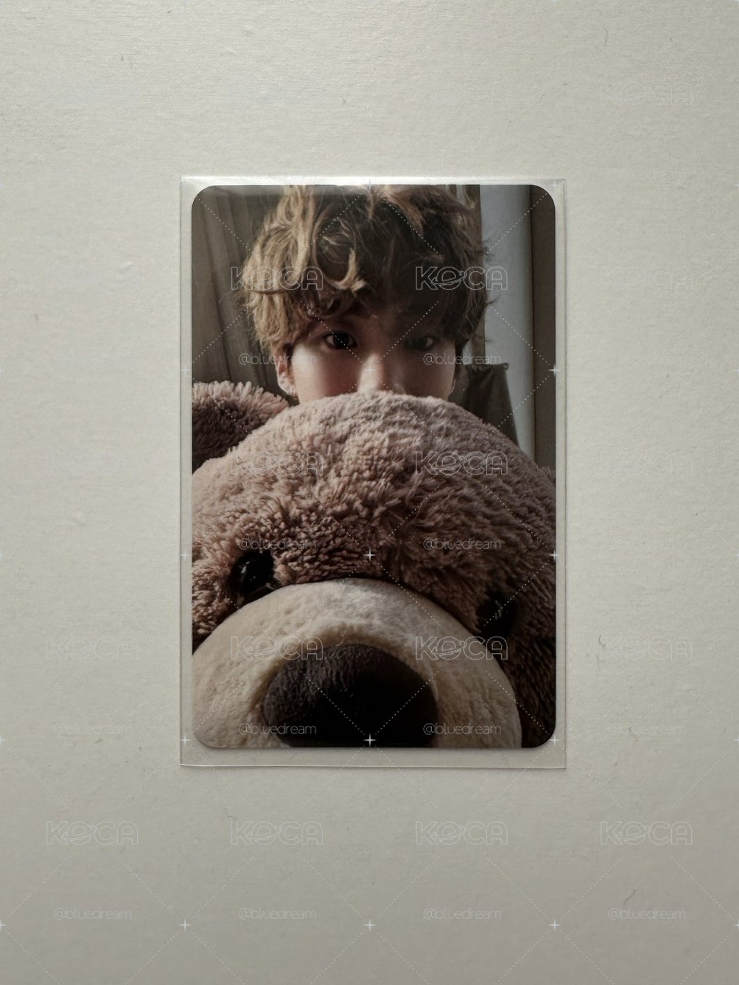 Anton RIIZING專卡🐻