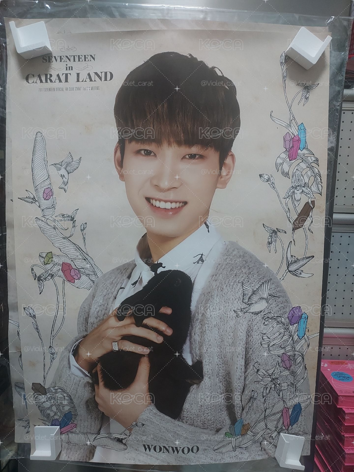 圓佑 2017 carat land 海報
