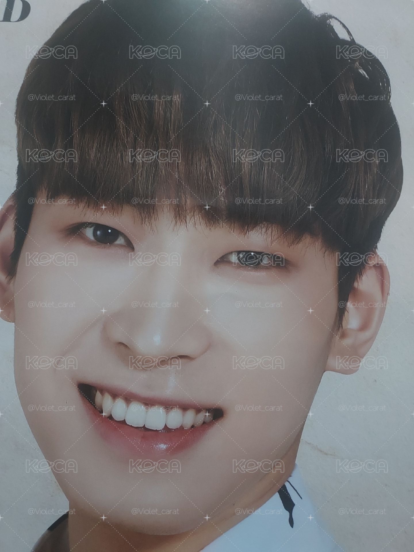 圓佑 2017 carat land 海報