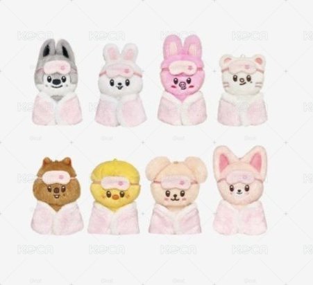 （現貨）skzoo FM商品 已在台