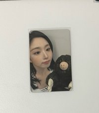MS鼴鼠