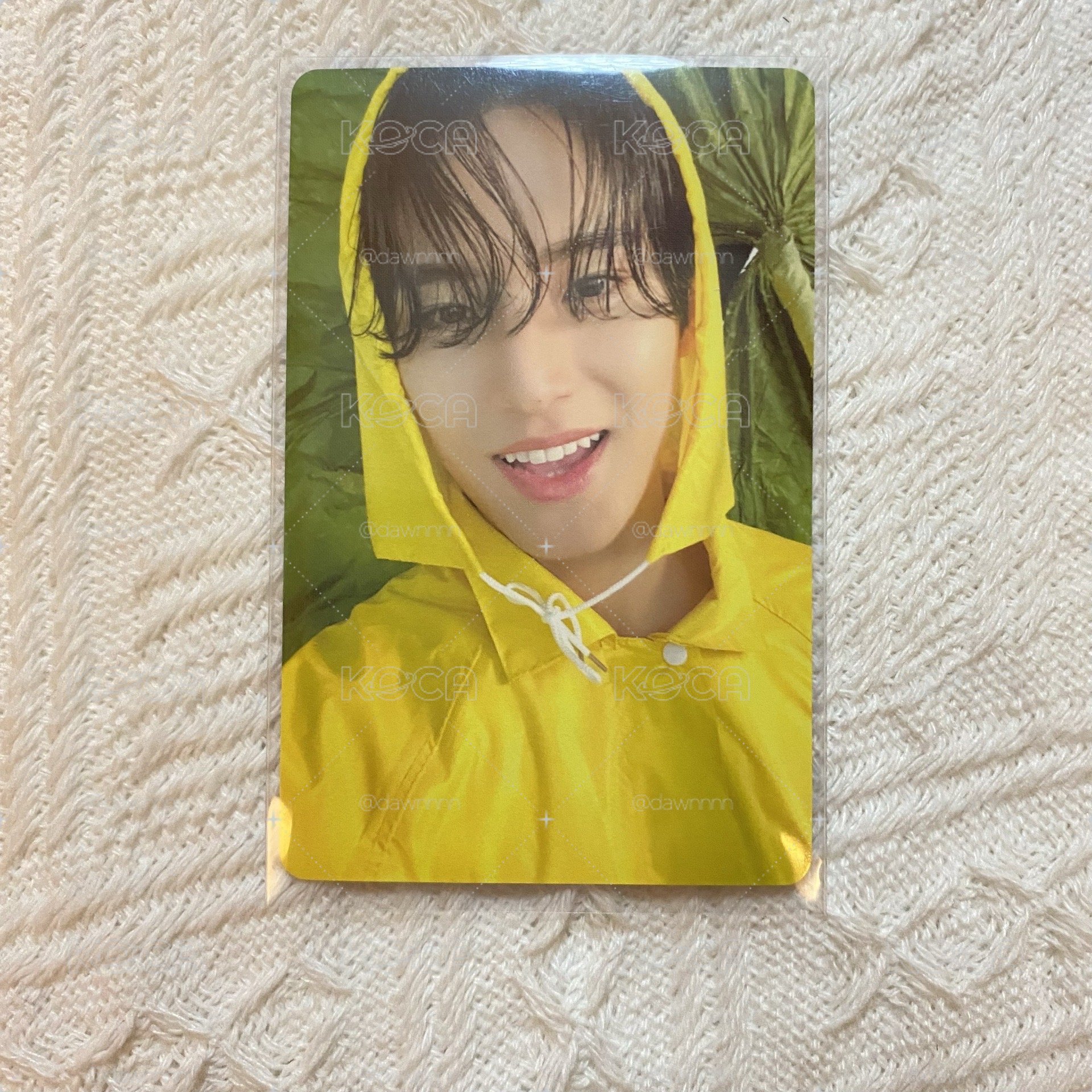 雨衣小狗