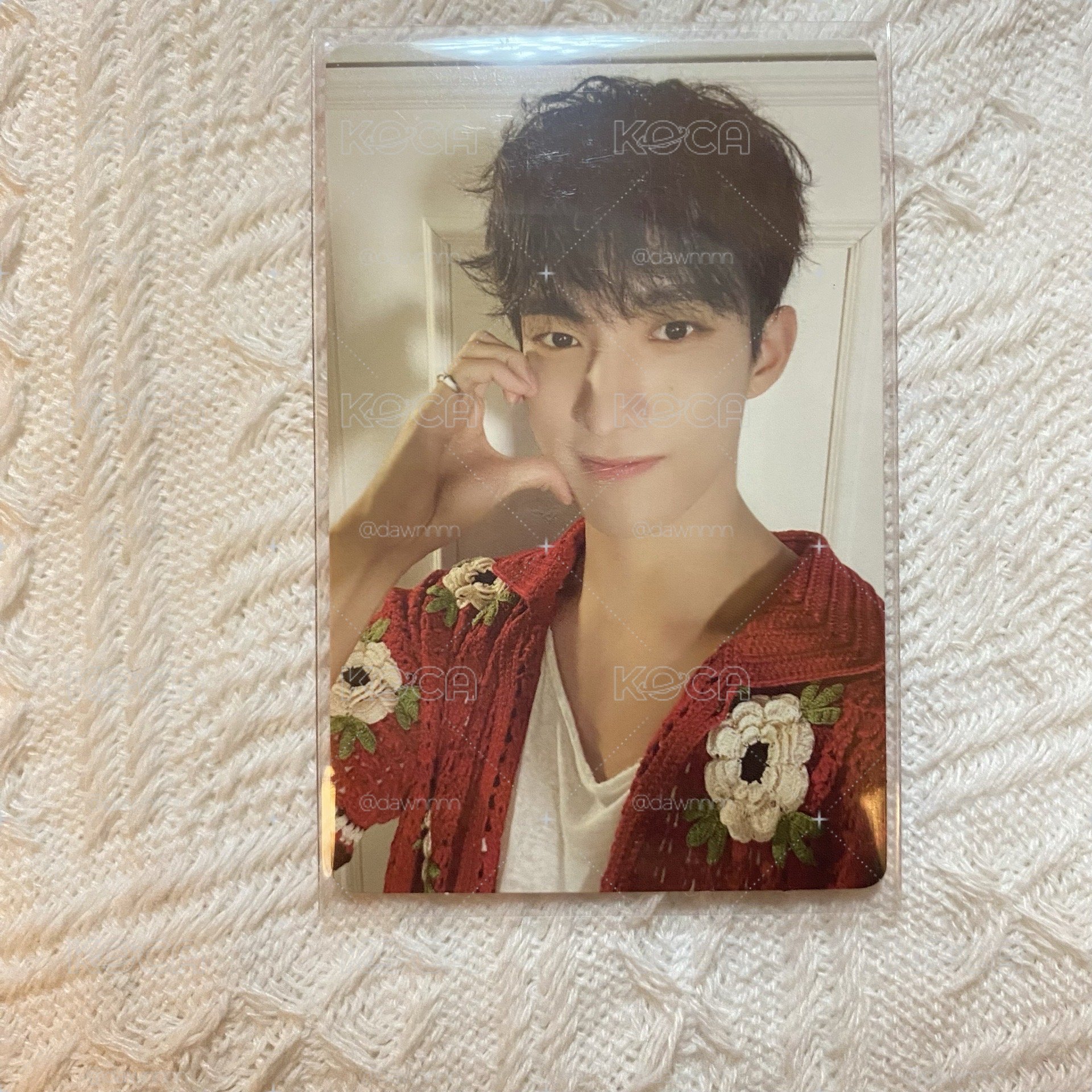 哈特小狗