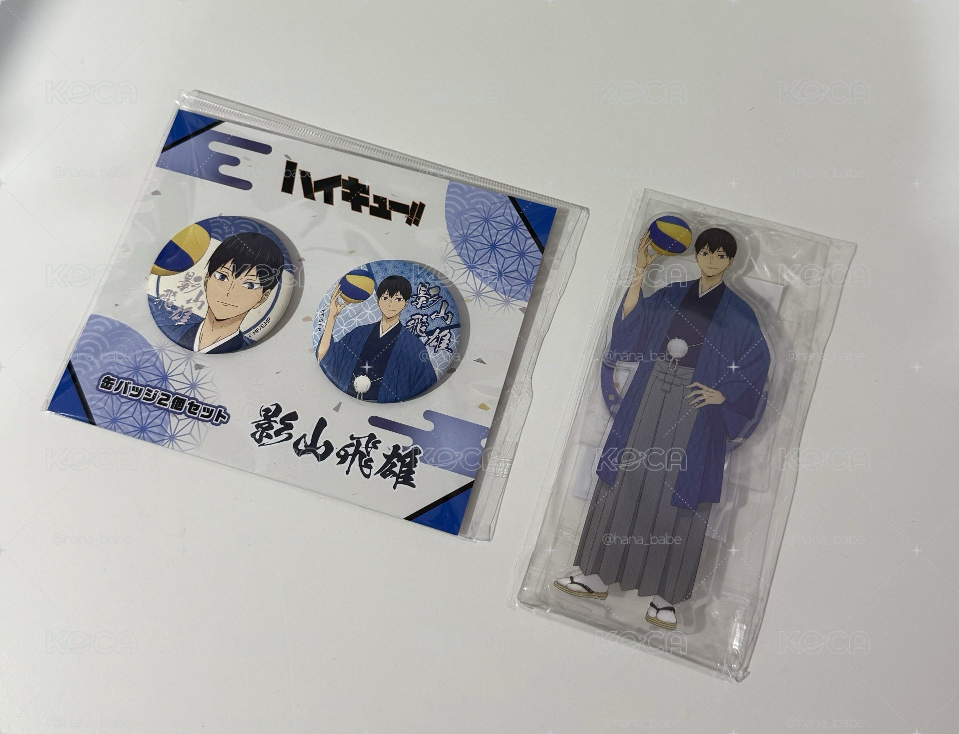 TOHO十週年 🏐徽章+立牌