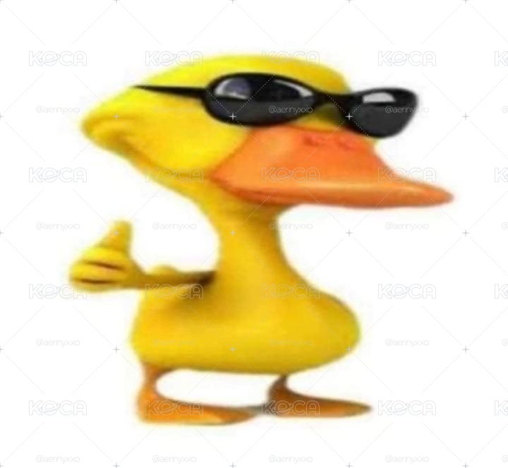 隨便亂出