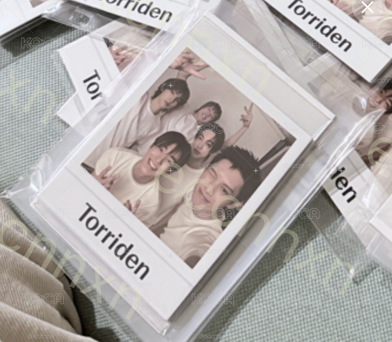 Torriden 現貨一套拍立得小卡