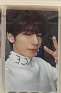 環球顯