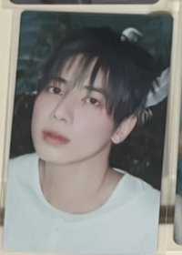 日專天鵝顯