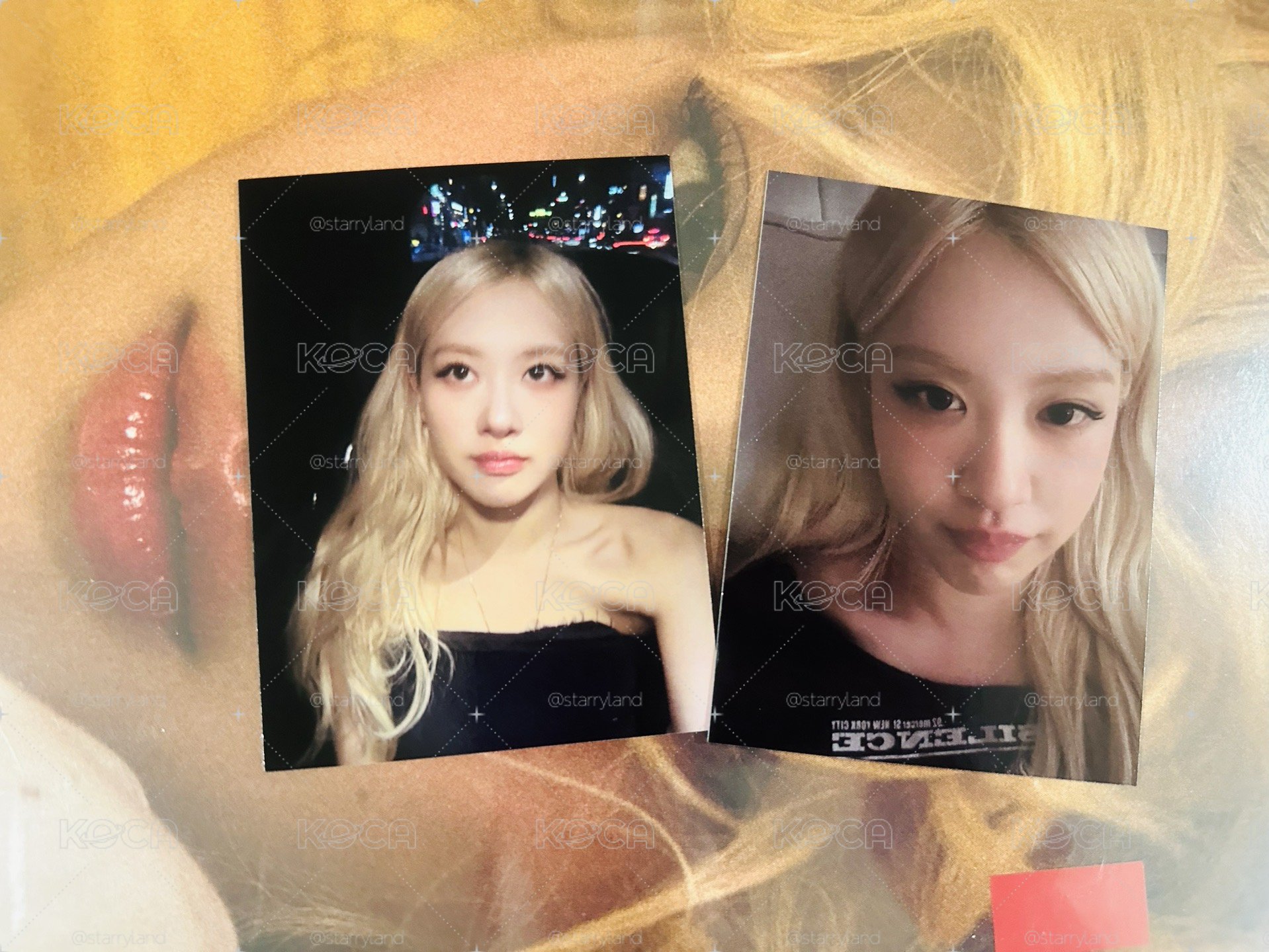 Rosie 紅膠新版
