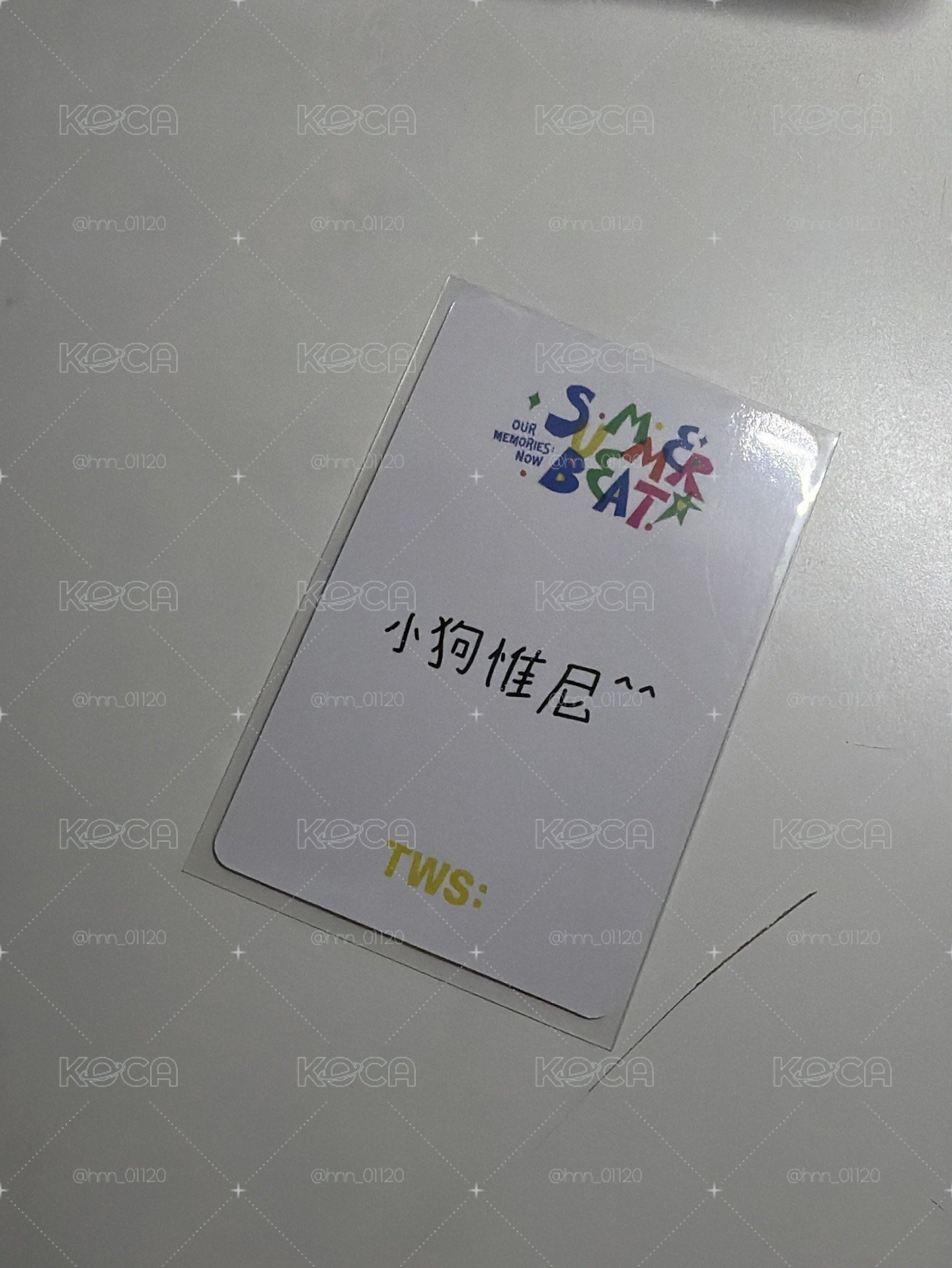 申惟 小狗惟尼中背