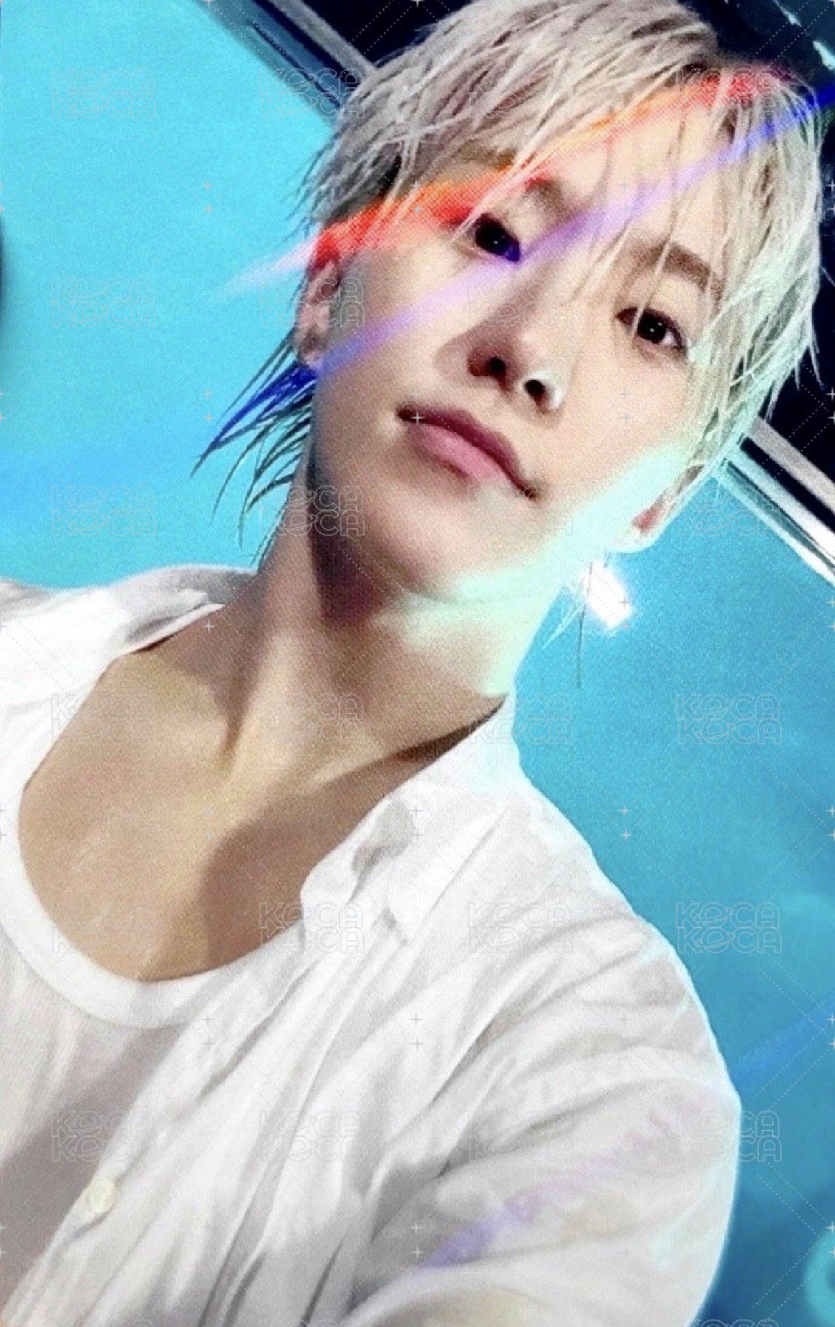 迷12 日咖