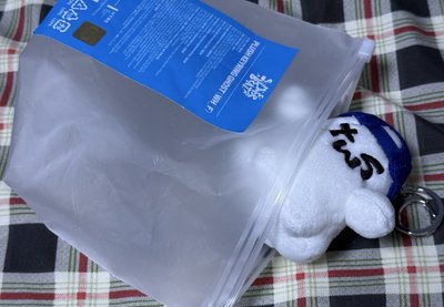 TWS 玩偶吊飾 