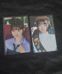 下排2張官拍