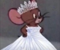 annaal