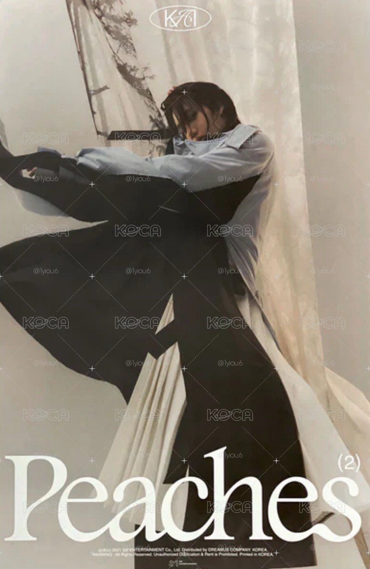 exo大海報