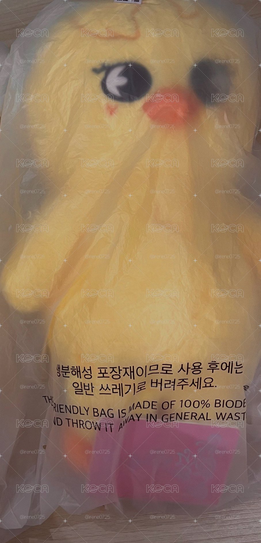 Stray Kids BbokAri 飯咪泰迪娃