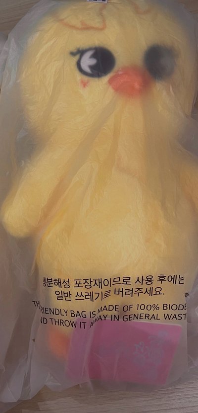Stray Kids BbokAri 飯咪泰迪娃