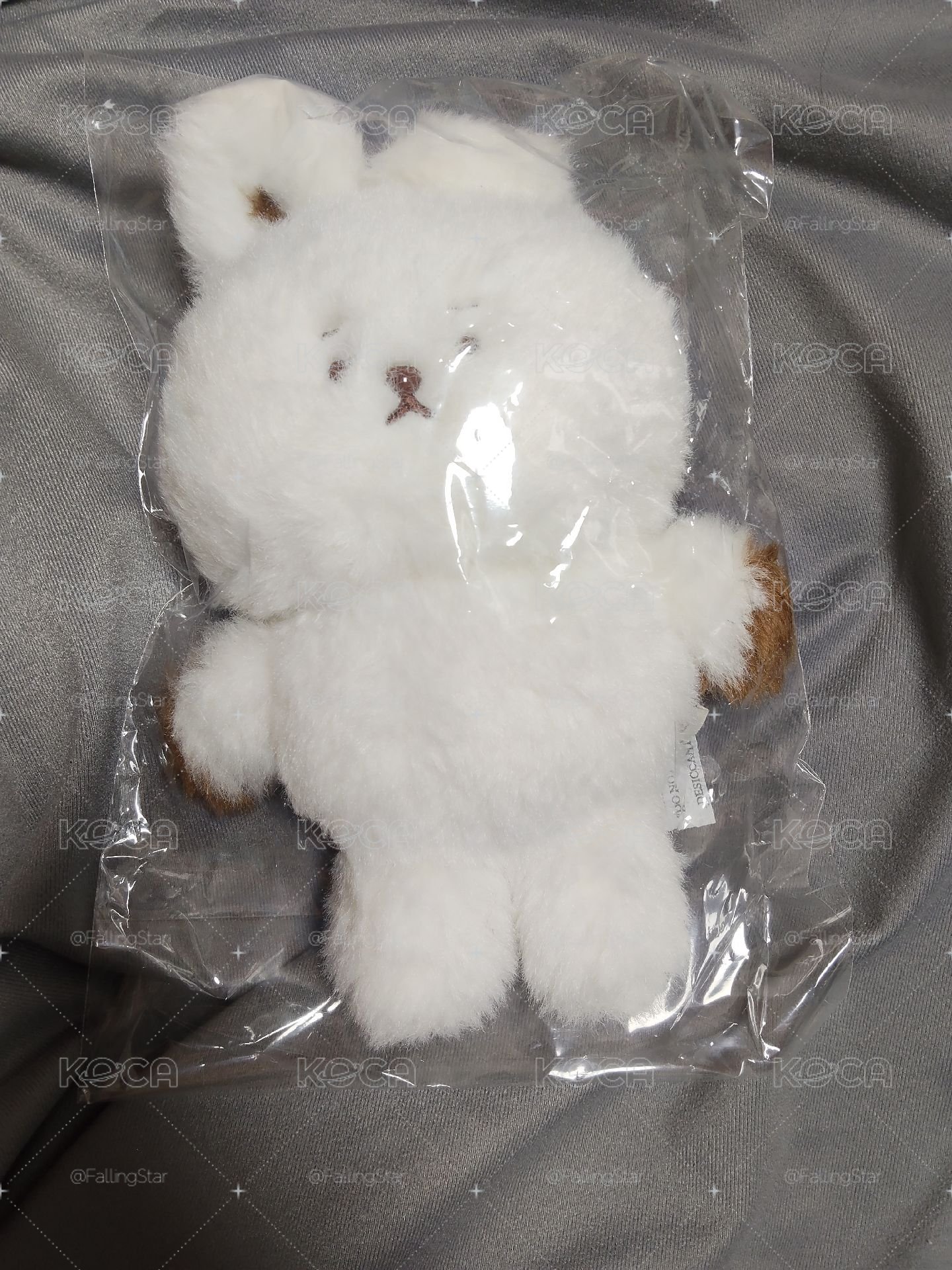 BT21 S娃 RJ製作系列