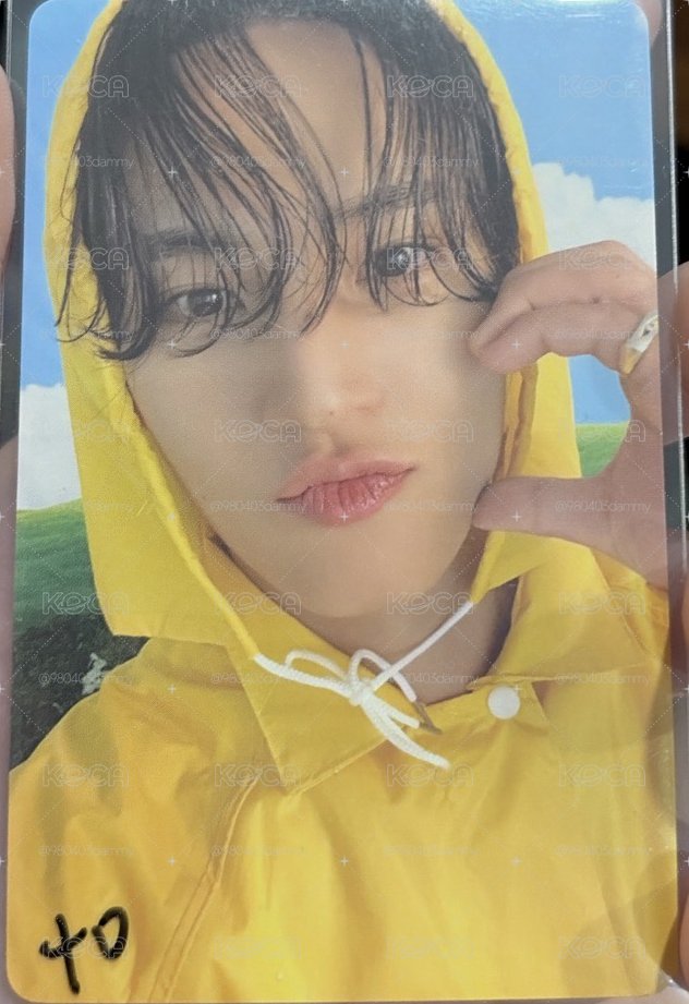 MINI11 專輯卡 CARAT ver.