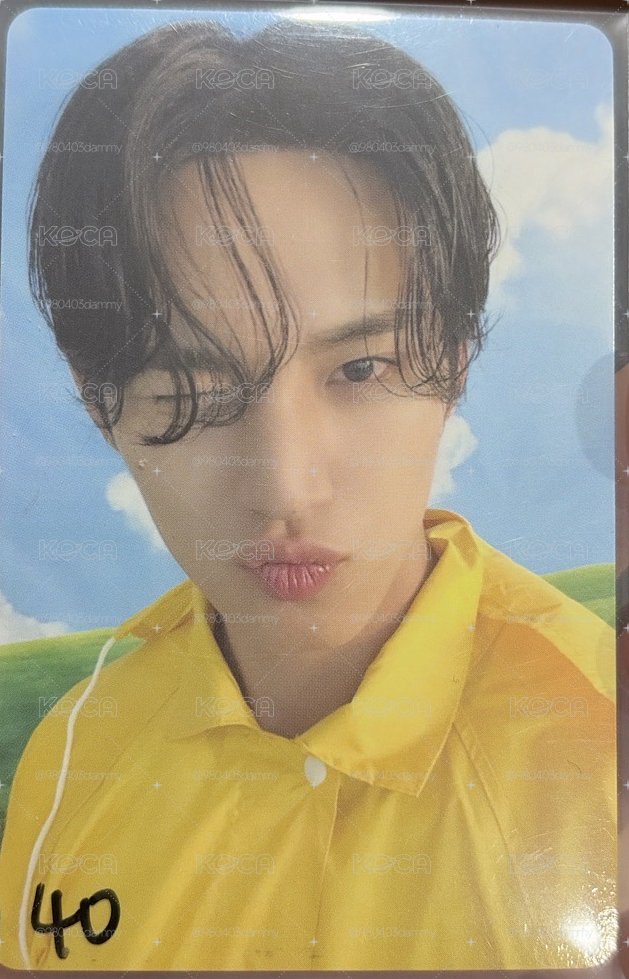 MINI11 專輯卡 CARAT ver.