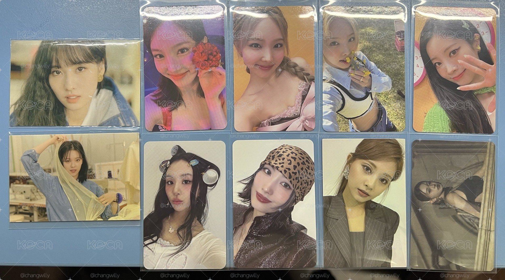 🐰小盤