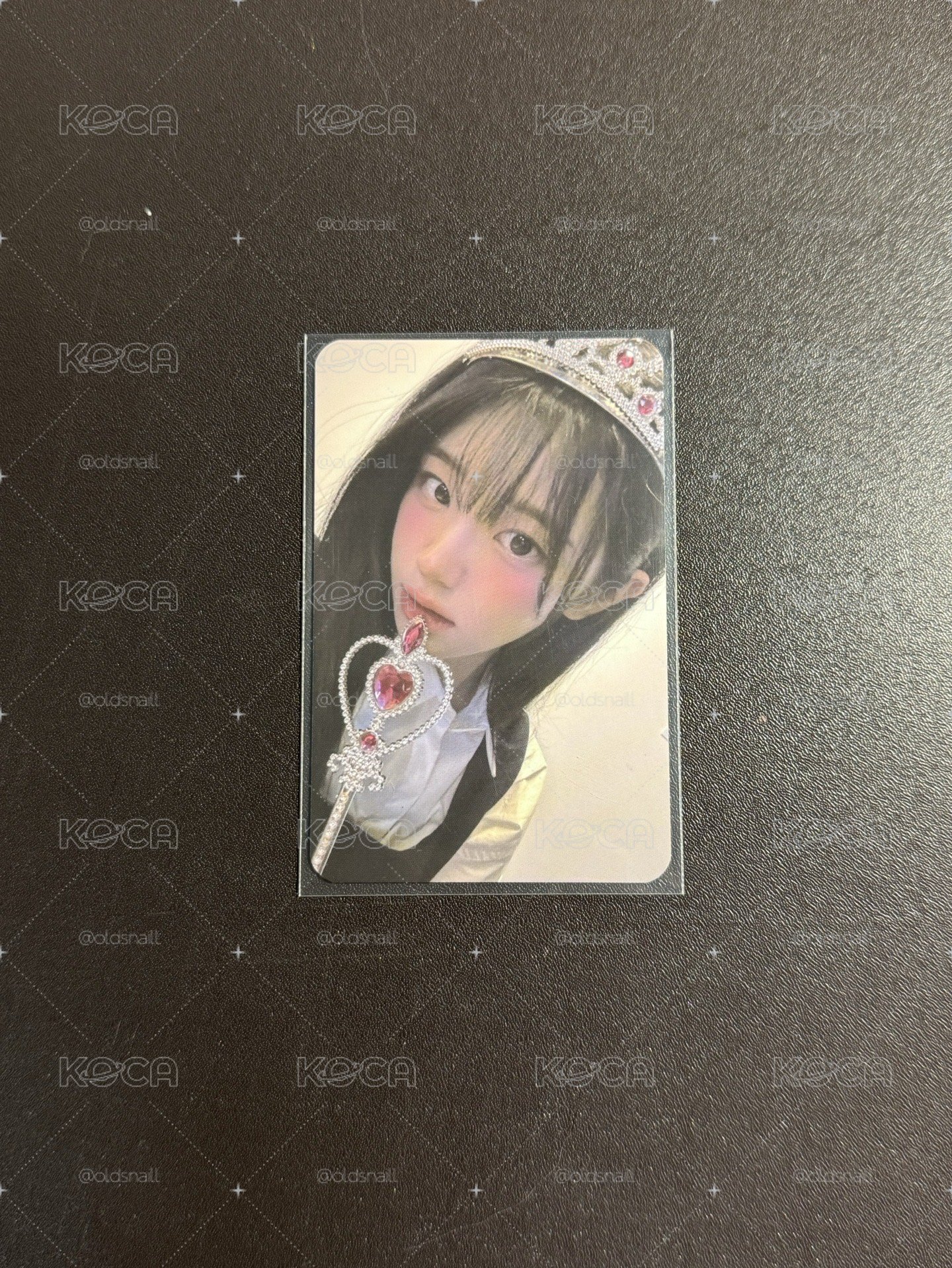 迷二 dmm 線上 1.0 簽售卡 